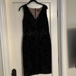 Ralph Lauren lace V neck cocktail dress new with tag